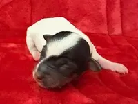 processed/3ac6fbfe-aabf-4e67-a34e-270cb70a1cc2/listing/4f5a102f-280d-43bb-98b0-7ea9e2236eff/a4910483-ccff-4614-b05f-aca76de70dfa