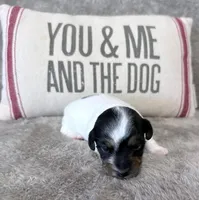 processed/3ac6fbfe-aabf-4e67-a34e-270cb70a1cc2/listing/4f5a102f-280d-43bb-98b0-7ea9e2236eff/d2de747f-31eb-43c4-9f6b-f75565067e53