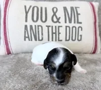 processed/3ac6fbfe-aabf-4e67-a34e-270cb70a1cc2/listing/4f5a102f-280d-43bb-98b0-7ea9e2236eff/ee6f14fe-6539-49c3-8503-9ee90db3eea6