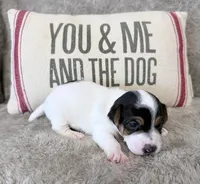 processed/3ac6fbfe-aabf-4e67-a34e-270cb70a1cc2/listing/514ce434-24be-4ed3-ae52-868bfc8955f2/388da5c8-5cd7-4db5-9cc8-93e3d467db98