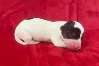 processed/3ac6fbfe-aabf-4e67-a34e-270cb70a1cc2/listing/514ce434-24be-4ed3-ae52-868bfc8955f2/6a45fbb1-c598-4b5e-a3a4-504929d265c2