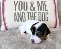 processed/3ac6fbfe-aabf-4e67-a34e-270cb70a1cc2/listing/514ce434-24be-4ed3-ae52-868bfc8955f2/8dac4271-eb94-4980-8ea2-0085b3d6cc80