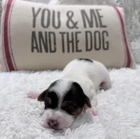 processed/3ac6fbfe-aabf-4e67-a34e-270cb70a1cc2/listing/514ce434-24be-4ed3-ae52-868bfc8955f2/98644cf6-2a7d-4cc2-84a4-e03fd4b8dd1e