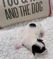 processed/3ac6fbfe-aabf-4e67-a34e-270cb70a1cc2/listing/514ce434-24be-4ed3-ae52-868bfc8955f2/9954d920-be70-4b97-985c-a894e4e50d89