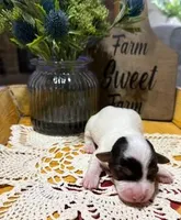 processed/3ac6fbfe-aabf-4e67-a34e-270cb70a1cc2/listing/514ce434-24be-4ed3-ae52-868bfc8955f2/dcbeff5a-6ba0-471e-b163-236748e917ad