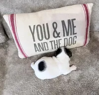 processed/3ac6fbfe-aabf-4e67-a34e-270cb70a1cc2/listing/514ce434-24be-4ed3-ae52-868bfc8955f2/ec1f9788-c5ae-4c01-8026-b2154f403ae2