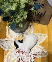 SCOUT, a male Jack Russell Terrier for sale in Paducah, KY – Photo 9 of 10