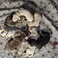 processed/3acc7563-e5fb-44c4-9cd6-f2fc122135d6/facility/045f92e1-d769-4980-a966-84857f945a44