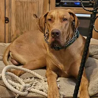 processed/3acc7563-e5fb-44c4-9cd6-f2fc122135d6/facility/1f355620-35c2-432d-80f9-0cbdfd598bf9