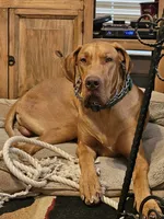 processed/3acc7563-e5fb-44c4-9cd6-f2fc122135d6/facility/1f355620-35c2-432d-80f9-0cbdfd598bf9