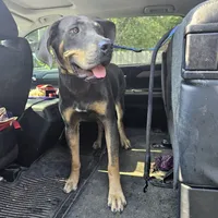 processed/3acc7563-e5fb-44c4-9cd6-f2fc122135d6/facility/5502a0b8-6849-42da-95bf-1e321ca7299f