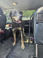 processed/3acc7563-e5fb-44c4-9cd6-f2fc122135d6/facility/5502a0b8-6849-42da-95bf-1e321ca7299f