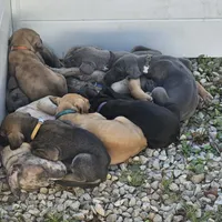 processed/3acc7563-e5fb-44c4-9cd6-f2fc122135d6/facility/58c82d0f-63bb-4c6f-8e00-b0ba6ec0f112