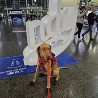 processed/3acc7563-e5fb-44c4-9cd6-f2fc122135d6/facility/60174cba-35bb-4abe-a603-1f49073f1c8c