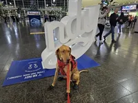 processed/3acc7563-e5fb-44c4-9cd6-f2fc122135d6/facility/60174cba-35bb-4abe-a603-1f49073f1c8c