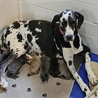 processed/3acc7563-e5fb-44c4-9cd6-f2fc122135d6/facility/6c5a659c-e559-4c9a-8992-e1dc3a262f09