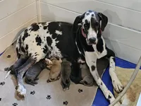 processed/3acc7563-e5fb-44c4-9cd6-f2fc122135d6/facility/6c5a659c-e559-4c9a-8992-e1dc3a262f09