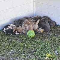 processed/3acc7563-e5fb-44c4-9cd6-f2fc122135d6/facility/c679ac21-22c9-46fe-9c3e-bc92387b1ff5