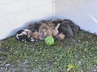 processed/3acc7563-e5fb-44c4-9cd6-f2fc122135d6/facility/c679ac21-22c9-46fe-9c3e-bc92387b1ff5