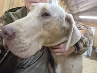 processed/3acc7563-e5fb-44c4-9cd6-f2fc122135d6/listing/05b81683-7577-4b2a-8548-d336ff1e75f1/6f75c5d5-c1f9-4c95-94d9-5710d47f5b44