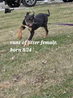 processed/3acc7563-e5fb-44c4-9cd6-f2fc122135d6/listing/393e94a5-2a8c-4cb4-b9b7-82cf941e232c/781fa24f-e58b-44a7-8a1f-1a30c837cd9d