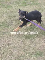 processed/3acc7563-e5fb-44c4-9cd6-f2fc122135d6/listing/393e94a5-2a8c-4cb4-b9b7-82cf941e232c/a90fa7e8-9259-4b95-9861-0dfc107af3fb