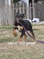 processed/3acc7563-e5fb-44c4-9cd6-f2fc122135d6/listing/393e94a5-2a8c-4cb4-b9b7-82cf941e232c/d2c67741-82da-4aa0-9e62-8e7b902ed8ad