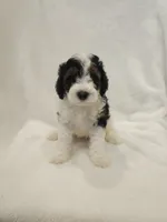 processed/3ad6e1c4-58b8-4663-8f55-848c7a84868f/listing/0cb51715-34a3-49d3-94a5-51adcb858edb/2230545f-db4c-4cb1-9838-3ce163ff145b