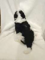 processed/3ad6e1c4-58b8-4663-8f55-848c7a84868f/listing/0cb51715-34a3-49d3-94a5-51adcb858edb/48dfd523-2c9d-46b2-aa2c-2b26f73b0852