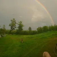 processed/3adc1616-4d74-4f26-bc10-bc66f667dabf/facility/2083da44-d72e-4626-aeb2-28f3ba9f28ef