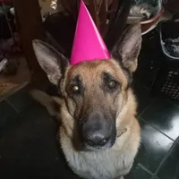 processed/3adc1616-4d74-4f26-bc10-bc66f667dabf/facility/8ac63427-d230-4665-b2bf-03c6aa75a8f3