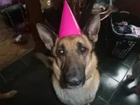 processed/3adc1616-4d74-4f26-bc10-bc66f667dabf/facility/8ac63427-d230-4665-b2bf-03c6aa75a8f3