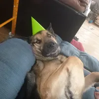 processed/3adc1616-4d74-4f26-bc10-bc66f667dabf/facility/92358b80-d9fb-4888-8736-111da5eeb04c