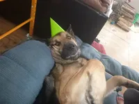 processed/3adc1616-4d74-4f26-bc10-bc66f667dabf/facility/92358b80-d9fb-4888-8736-111da5eeb04c