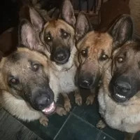 processed/3adc1616-4d74-4f26-bc10-bc66f667dabf/facility/a5da917f-559c-4ee2-8f52-fb8da7d36d01