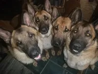 processed/3adc1616-4d74-4f26-bc10-bc66f667dabf/facility/a5da917f-559c-4ee2-8f52-fb8da7d36d01