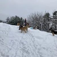 processed/3adc1616-4d74-4f26-bc10-bc66f667dabf/facility/cc5ff943-2327-4024-8370-faf80d72d65d