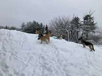 processed/3adc1616-4d74-4f26-bc10-bc66f667dabf/facility/cc5ff943-2327-4024-8370-faf80d72d65d