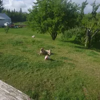 processed/3adc1616-4d74-4f26-bc10-bc66f667dabf/facility/cea6080f-4d88-41c1-8d08-b9498e278bb7