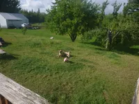 processed/3adc1616-4d74-4f26-bc10-bc66f667dabf/facility/cea6080f-4d88-41c1-8d08-b9498e278bb7