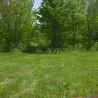 processed/3adc1616-4d74-4f26-bc10-bc66f667dabf/facility/e72e9766-a95a-4b7f-a758-a6939f8e02a4