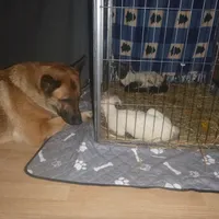 processed/3adc1616-4d74-4f26-bc10-bc66f667dabf/facility/fbf5dd3c-8f0d-482b-9de3-44ba0ee78090