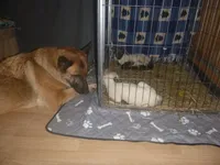 processed/3adc1616-4d74-4f26-bc10-bc66f667dabf/facility/fbf5dd3c-8f0d-482b-9de3-44ba0ee78090