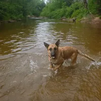 processed/3adc1616-4d74-4f26-bc10-bc66f667dabf/facility/ff90243c-4de9-4d63-8f69-96cc03c2be7d