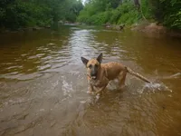 processed/3adc1616-4d74-4f26-bc10-bc66f667dabf/facility/ff90243c-4de9-4d63-8f69-96cc03c2be7d