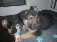 processed/3adc1616-4d74-4f26-bc10-bc66f667dabf/listing/db02e133-b2ff-456e-86a1-7b7f9f89ae63/112a9849-dddb-4c9b-8e29-1a4bec3aa501