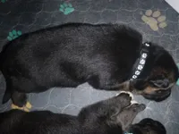 processed/3adc1616-4d74-4f26-bc10-bc66f667dabf/listing/db02e133-b2ff-456e-86a1-7b7f9f89ae63/1c4d9b14-964a-4d78-9d01-9ed08ea8a75f