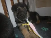 processed/3adc1616-4d74-4f26-bc10-bc66f667dabf/listing/db02e133-b2ff-456e-86a1-7b7f9f89ae63/1d1828d0-5252-40b1-bc90-64831f0cb4cf