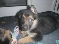 processed/3adc1616-4d74-4f26-bc10-bc66f667dabf/listing/db02e133-b2ff-456e-86a1-7b7f9f89ae63/4442e45d-de9c-4718-a81a-141cdc388e2f