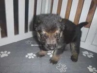 processed/3adc1616-4d74-4f26-bc10-bc66f667dabf/listing/db02e133-b2ff-456e-86a1-7b7f9f89ae63/68100c64-3b62-4cd8-8413-dbdfb886628f